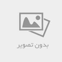 شاعر و ترانه سرا